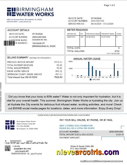 UNITED KINGDOM BIRMINGHAM WATER business utility bill 1